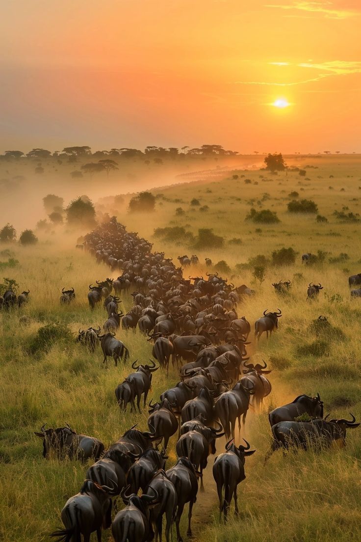 Great Migration