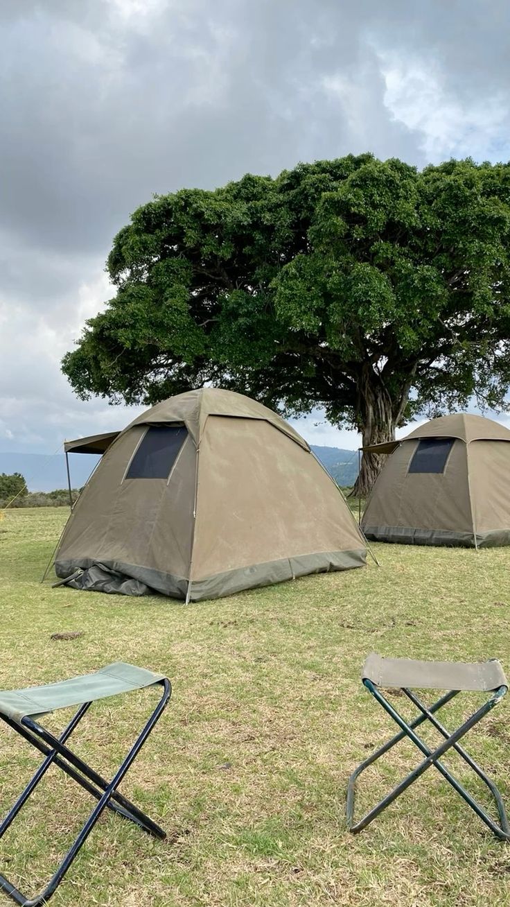 Seronera Camping