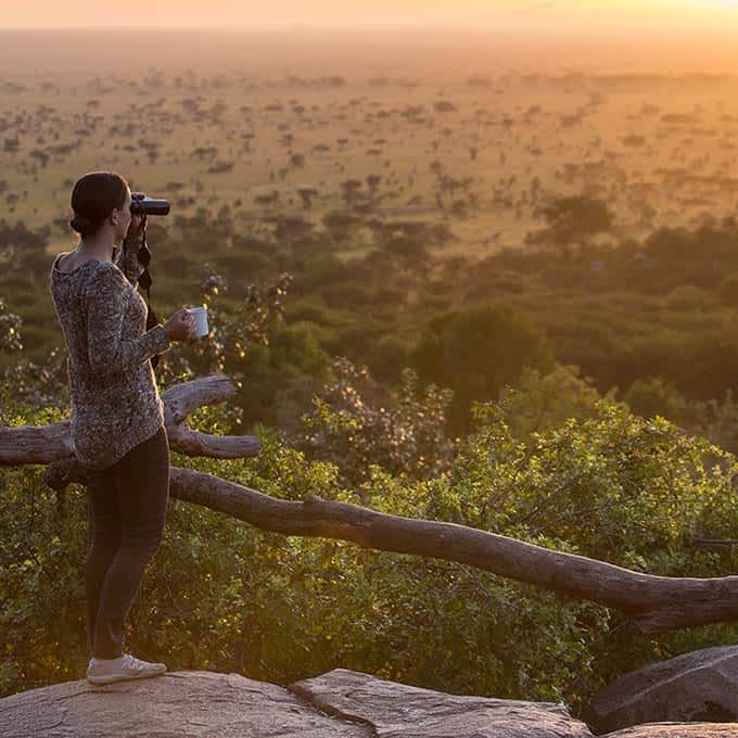 Serengeti Landscape