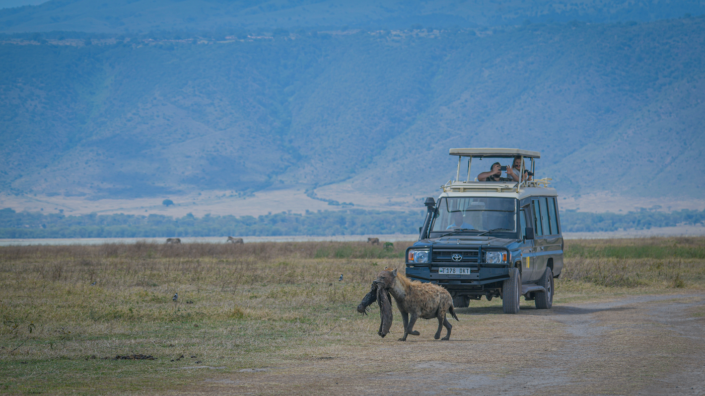 game drive