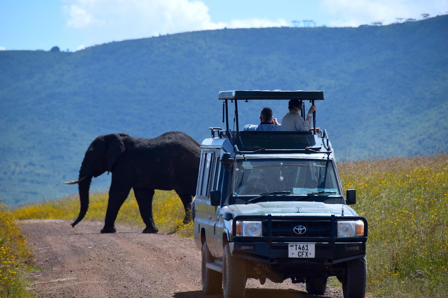 Tarangire Game Drive