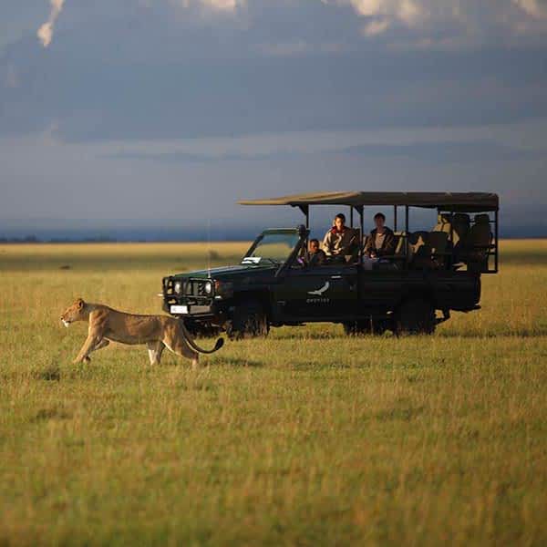 Game Drive