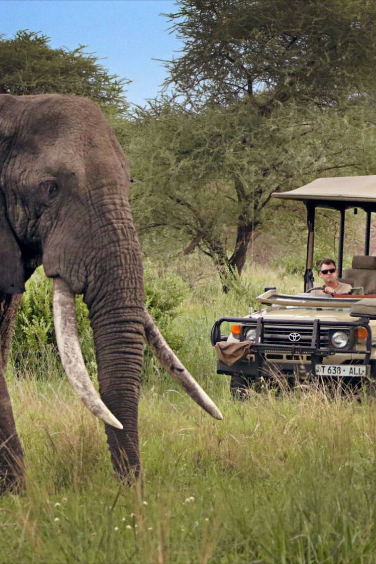 Tarangire National Park