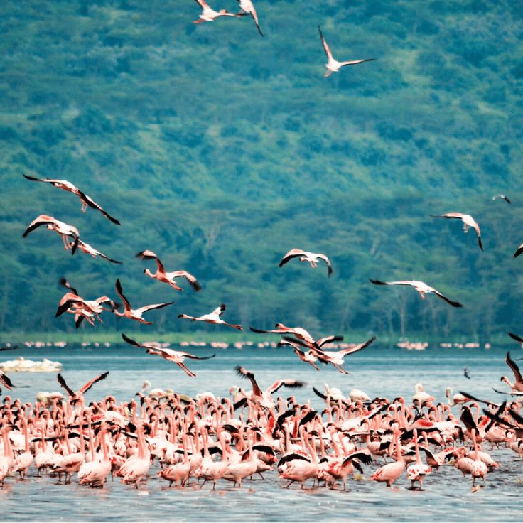 Lake Manyara