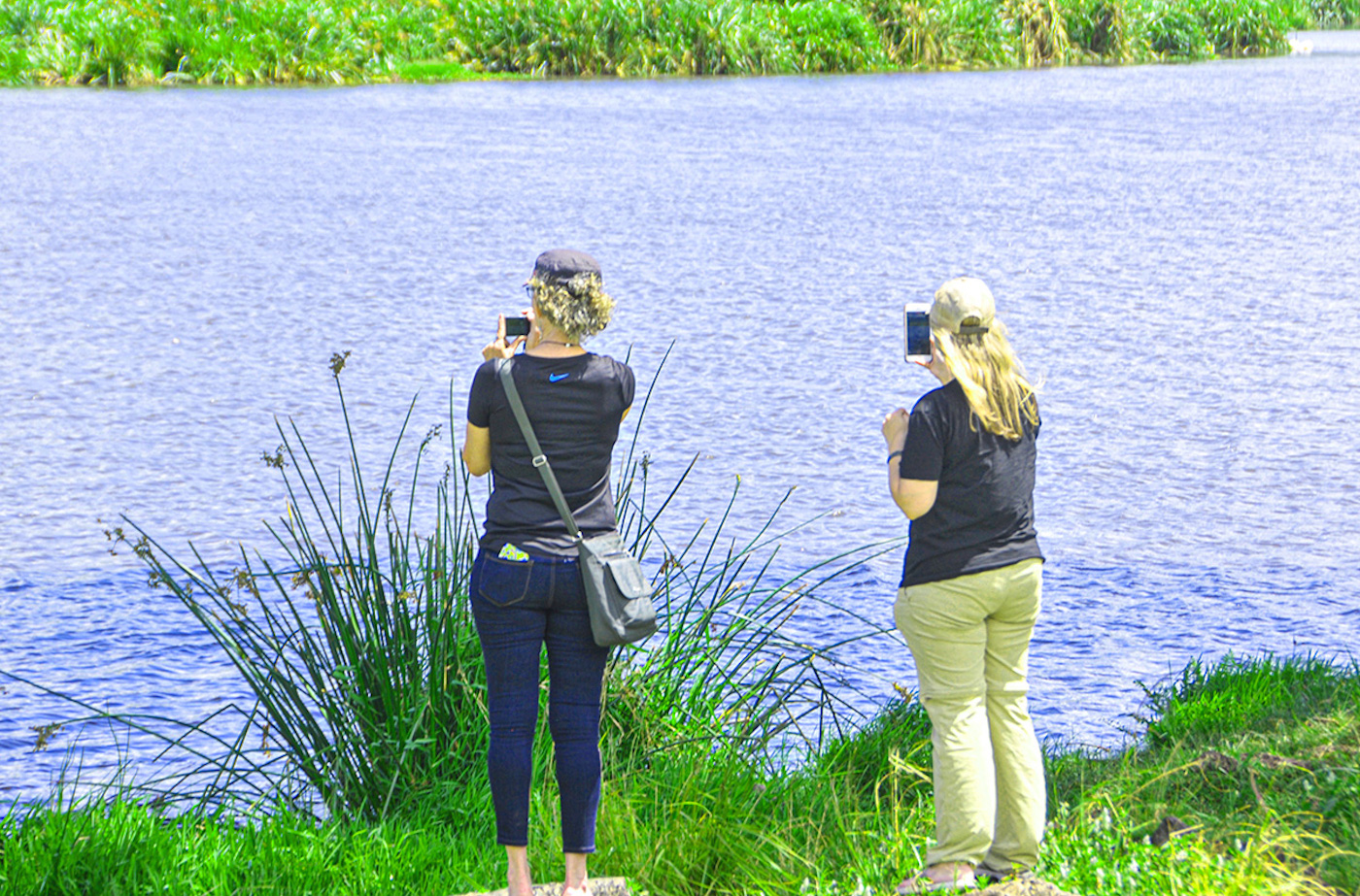 Walking Safari