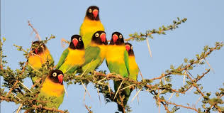 Lake Manyara