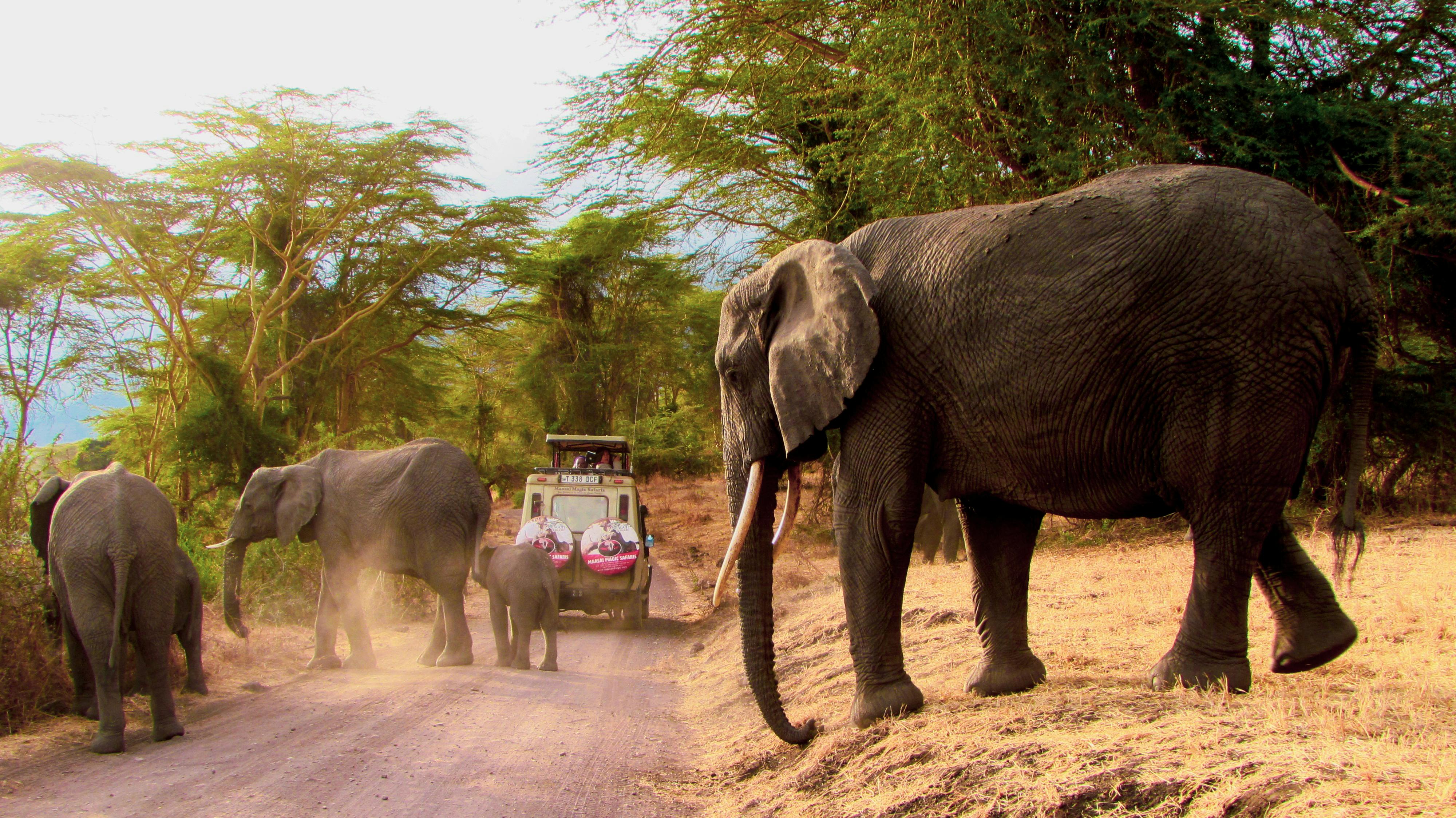 Tarangire National Park