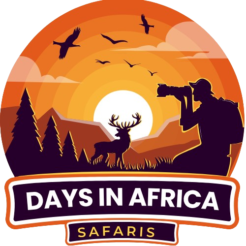 Day in Africa Safari Logo