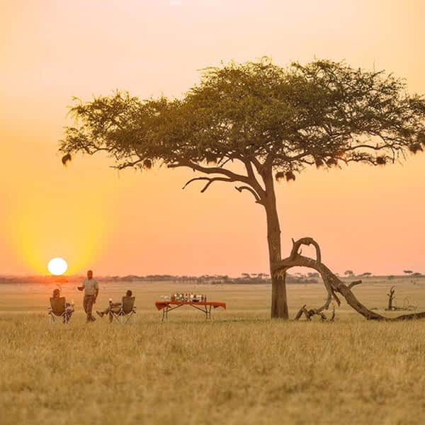Serengeti Sunset